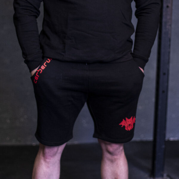 CORE Shorts - Image 3