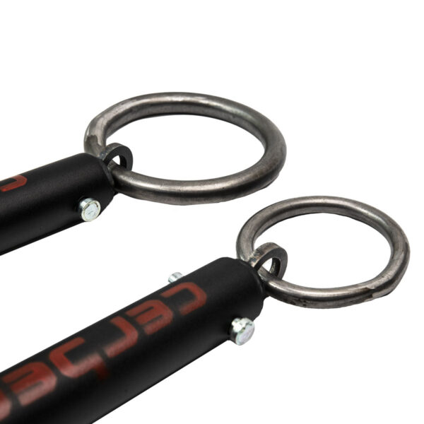CERBERUS Dinnie Stone Handles - Image 2
