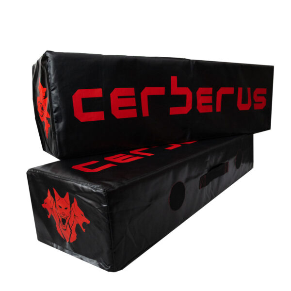 Strongman Log Pad Set - Image 2