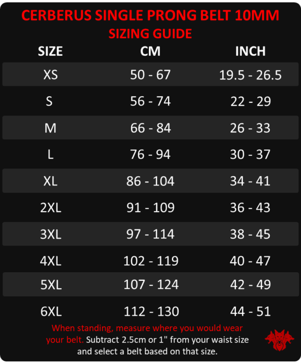 Single Prong Belt (10mm) - Image 3