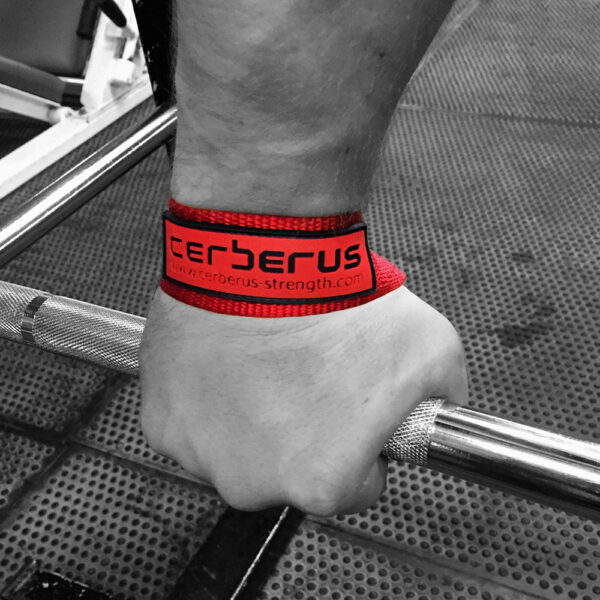 Elite Lifting Straps - Image 2